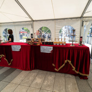 【コスプレ】中世ゴシックヴァンパイアRPG『シルブラ』リリース記念イベントレポ！秋葉原を沸かせた始祖「伊織もえ」が美しすぎた【写真23枚】