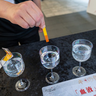 【コスプレ】中世ゴシックヴァンパイアRPG『シルブラ』リリース記念イベントレポ！秋葉原を沸かせた始祖「伊織もえ」が美しすぎた【写真23枚】