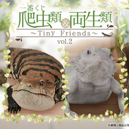 【数量限定】旧モデル在庫処分セールを開催します！ リアルで可愛い「一番くじ 爬虫類＆両生類」第2弾の全 その他