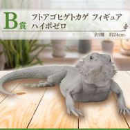 リアルで可愛い「一番くじ 爬虫類＆両生類」第2弾の全