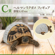 一番くじ 爬虫類＆両生類 ラストワン賞&D賞アオジタトカゲ フィギュア べぇ 一番くじ 爬虫類&両生類 ラストワン賞 アオジタトカゲ フィギア
