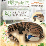 リアルで可愛い「一番くじ 爬虫類＆両生類」第2弾の全