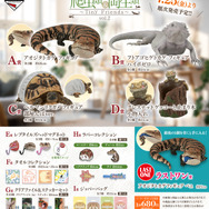 一番くじ 爬虫類&両生類 C賞・D賞・E賞2種・ラストワン賞 まとめ売り リアルで可愛い「一番くじ 爬虫類&両生類」第2弾!ラストワン賞