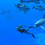 【特集】夏だ!海に行こうぜ……ゲームでな!釣りRPGに海中探索、清掃業まで個性的な良作タイトル5選