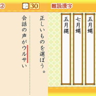 財団法人日本漢字能力検定協会協力 漢検DSトレーニング