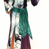 遙かなる時空の中で4 愛蔵版