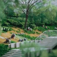 『ポケモン』初の屋外常設施設「ポケパーク カントー」2026年春にグランドオープン!