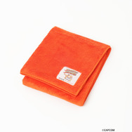 エドモンド本田が銭湯文化を盛り上げる！『スト2』コラボ「銭湯のススメ2025 ～大阪・関西編～」が8月7日より開催