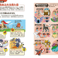 渋谷駅でポケモンの生態を学べる…!? 「ポケモン生態図鑑 マチカドミュージアムinシブヤ」8月3日まで掲出―ポケモンの体温や群れ、なわばりが解説の特大パノラマ