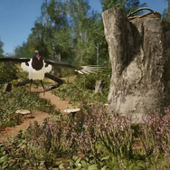 ちっちゃなネズミのおっきな冒険！魔法のリュックを駆使する3Dアクションゲーム『Hela』発表 【Nintendo Direct 2025.7.31】