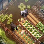 「Nintendo Direct」発表後、ネットがざわめき、驚異の再生回数に……最強のダークホース『ほの暮しの庭』はなぜ話題になったのか？