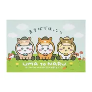 「ちいかわ ハッピーバッグ2026（午年）」受注締切迫る！馬になったぬいぐるみや、ユニークな絵柄のポストカードブックなど計9アイテムがセットに