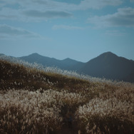 古明地 こいし『東方Project』／Banko（X：@banko003）