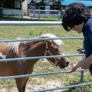 君たちは本当の「牧場の物語」を知っているか！？『牧場物語 Let's！風のグランドバザール』を目一杯楽しむためにリアル牧場に行ってきた