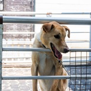 君たちは本当の「牧場の物語」を知っているか！？『牧場物語 Let's！風のグランドバザール』を目一杯楽しむためにリアル牧場に行ってきた