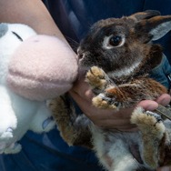 君たちは本当の「牧場の物語」を知っているか！？『牧場物語 Let's！風のグランドバザール』を目一杯楽しむためにリアル牧場に行ってきた