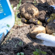 君たちは本当の「牧場の物語」を知っているか！？『牧場物語 Let's！風のグランドバザール』を目一杯楽しむためにリアル牧場に行ってきた