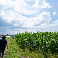 君たちは本当の「牧場の物語」を知っているか！？『牧場物語 Let's！風のグランドバザール』を目一杯楽しむためにリアル牧場に行ってきた