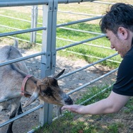 君たちは本当の「牧場の物語」を知っているか！？『牧場物語 Let's！風のグランドバザール』を目一杯楽しむためにリアル牧場に行ってきた