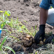 君たちは本当の「牧場の物語」を知っているか！？『牧場物語 Let's！風のグランドバザール』を目一杯楽しむためにリアル牧場に行ってきた