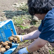 君たちは本当の「牧場の物語」を知っているか！？『牧場物語 Let's！風のグランドバザール』を目一杯楽しむためにリアル牧場に行ってきた