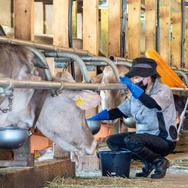 君たちは本当の「牧場の物語」を知っているか！？『牧場物語 Let's！風のグランドバザール』を目一杯楽しむためにリアル牧場に行ってきた