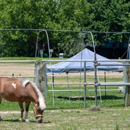 君たちは本当の「牧場の物語」を知っているか！？『牧場物語 Let's！風のグランドバザール』を目一杯楽しむためにリアル牧場に行ってきた