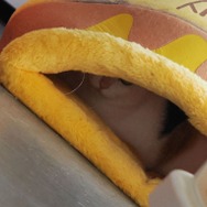 『鳴潮』＆『パニグレ』を生み出したKURO GAMESの歩みとこれからの挑戦【コラム】