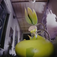 『ポケモンレジェンズZ-A』新たなメガシンカ「メガウツボット」発表！大量の溶解液で体が巨大化、自らツルで喉元を縛る理由とは？