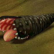 (C)2007 Entwell Co.,Ltd. Published By JALECO LTD.