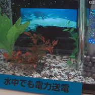 水槽に入れたデジタルフォトフレームにも送電 水槽に入れたデジタルフォトフレームにも送電