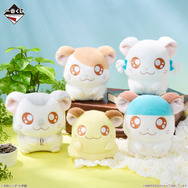 「とっとこハム太郎」新作一番くじが可愛い！こうしくん、リボンちゃんたち5人のぬいぐるみや、皆でお昼寝するティッシュケースなど