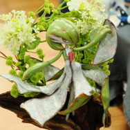 ウェザリング塗装による汚しの質感が堪らないジオラマの数々に歓喜！「NEXT MODELERS EXPO '25」フォトレポート【後編】