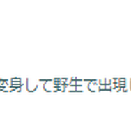 “激レアフォルム”の出現率はどうなる…？「ノーマルセンセーショナル」重要ポイントまとめ【ポケモンGO 秋田局】