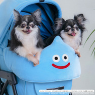 『ドラクエ』『FF』などのペット向けグッズが可愛い！「SQEX PETs」各種アイテムが9月27日発売―10月開催のペットイベントにも出展へ