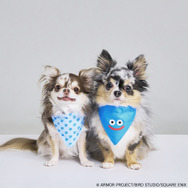 『ドラクエ』『FF』などのペット向けグッズが可愛い！「SQEX PETs」各種アイテムが9月27日発売―10月開催のペットイベントにも出展へ