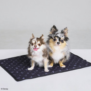 『ドラクエ』『FF』などのペット向けグッズが可愛い！「SQEX PETs」各種アイテムが9月27日発売―10月開催のペットイベントにも出展へ