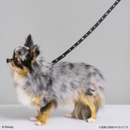 『ドラクエ』『FF』などのペット向けグッズが可愛い！「SQEX PETs」各種アイテムが9月27日発売―10月開催のペットイベントにも出展へ