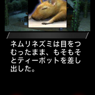 歪みの国のアリス