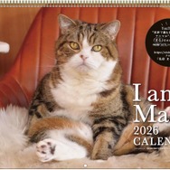 世界を魅了した「すべりこむ猫」まるちゃん　癒やし満載の2026年版カレンダーが登場！