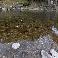 『SILENT HILL f』の舞台を聖地巡礼してみた―ゲームの世界まんまの昭和レトロな「筋骨めぐり」に大興奮！Steam Deckで遊ぶ“最適プレイスポット”も探してみたぞ【前編】