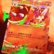 『ポケポケ』新パック「メガライジング」10月30日より追加!6体のメガシンカや、トレーナーズ「ハルカ」「ルチア」らも