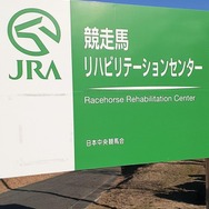 『ウマ娘』新シナリオ「温泉郷編」は、休むことで強くなる!? ノスタルジックな昭和歌謡にも注目【先行体験レポ】