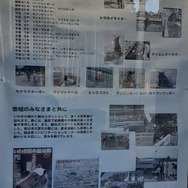 『ウマ娘』新シナリオ「温泉郷編」は、休むことで強くなる!? ノスタルジックな昭和歌謡にも注目【先行体験レポ】