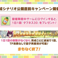 『ウマ娘』新シナリオでは「温泉パワー」で愛バを強化!2人の新キャラ「保科健子」と「ユノハナブルーム」など詳細情報お披露目