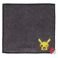 ピカチュウ、イーブイなどが可愛くデザイン!『ポケモン』新作ハンカチが販売中―アップリケ刺繡のタオルハンカチも