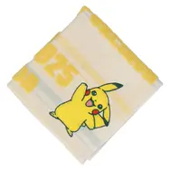 ピカチュウ、イーブイなどが可愛くデザイン!『ポケモン』新作ハンカチが販売中―アップリケ刺繡のタオルハンカチも