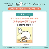 “くま”をかぶった「ちいかわ」たち！「ナガノのくま」新商品とともに、本日11月7日11時よりナガノマーケットにて発売