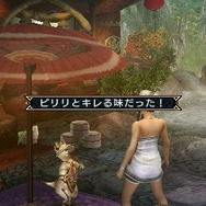 モンスターハンターポータブル 3rd