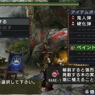 モンスターハンターポータブル 3rd